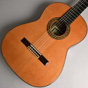 RAIMUNDO 129C 640mm ♯17030161 ...