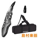 Roland Aerophone GO AE-05 + [交...