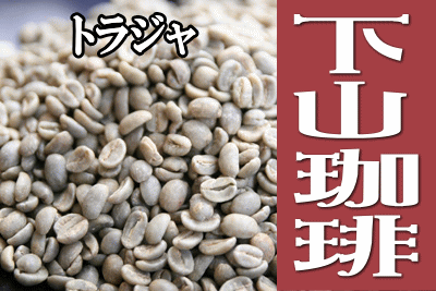 【メール便なら送料無料】下山珈琲★下山おじさんが珈琲豆を今から焙煎する★トラジャ★コーヒー豆 増量250g 【smtb-kd】 【10P123Aug12】