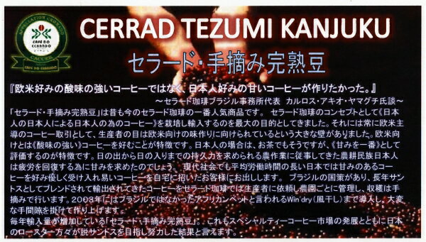 【メール便なら送料無料】下山珈琲★セラード手摘み完熟豆　スペシャルティーグレード・SCAAカップ基準80点以上を超える最高級★コーヒー豆 増量200g 