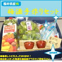 健康長寿を願う、梅酒手作りセットふくい食の宝石箱【D】福井手...