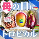 母の日に!食の宝石箱【T】トロピカルフルーツバスケット【ピーチパイン+アップルマンゴー+ドラゴンフルーツ】可愛い手提げ箱に入っています。【送料無料】