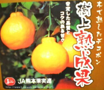 九州最高級でこぽん約5K箱《送料無料》【smtb-T】
