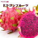 ★ベトナム産ドラゴンフルーツ【レッドピタヤ】3玉入り箱お試し企画!ほんのり甘酸っぱく、爽やかな味です。上品な甘さの赤肉種ピタヤ トロピカルフル-ツ 南国
