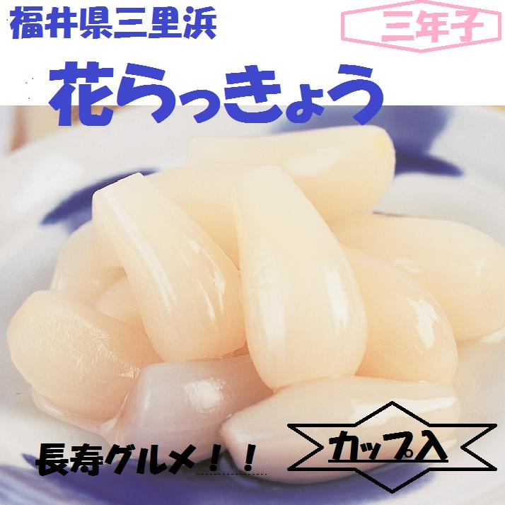 美容と健康に！！三里浜花らっきょう5カップ入り化粧箱送料無料...:shin-ei-seika:10000601