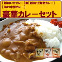 福井越前特選海鮮レトルトカレー3...