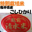 【特別栽培米】越前こしひかり【清水米】 10K袋【MB-KP】【送料無料】【smtb-T】