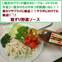 【粗ずり野菜ソ-ス】5本セット豚カツやフライに絶品!!サラダにかけても絶品!(^^)!⇒送料無料
