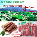 福井県大野上庄すこ【赤ずいき酢漬け】5個セット【送料無料】【福井特産品】【グルメ5_free】 福井県大野上庄すこ【赤ずいき酢漬け】5個セット【送料無料】【福井特産品】【グルメ5_free】