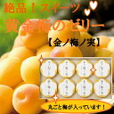 【完熟梅使用】【黄金梅ゼリー8個セット】...