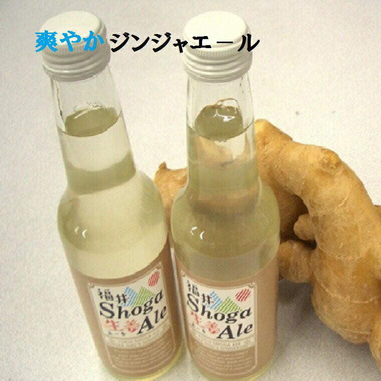 福井生姜え－る