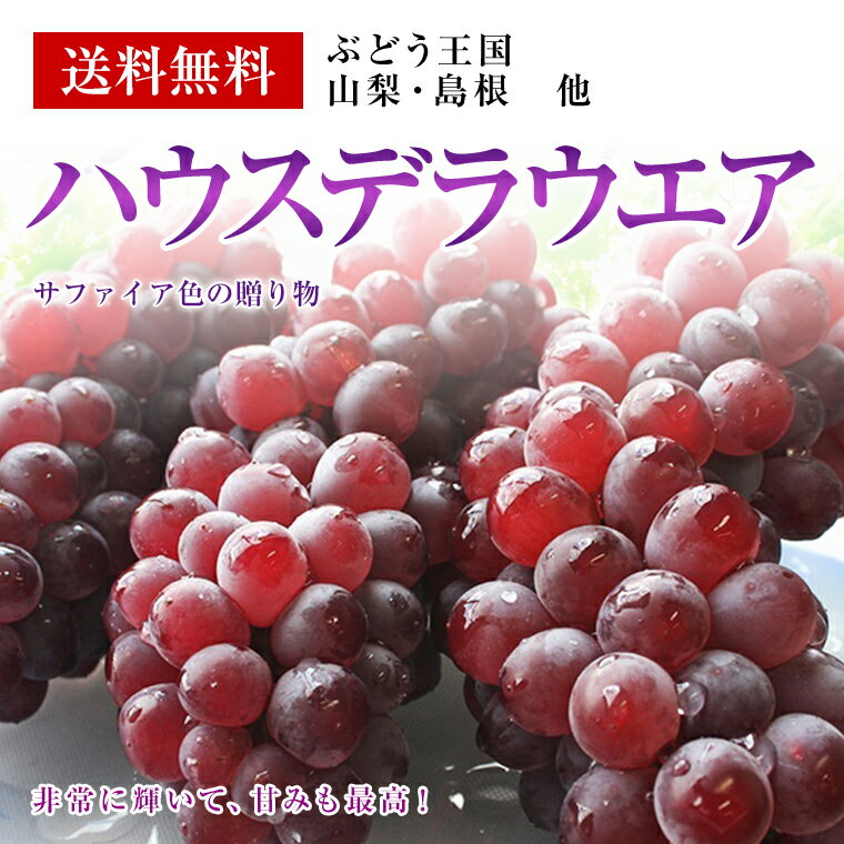 温室ぶどうデラウエアー　約270g×2パック入り箱《ハウス栽培》【送料無料】