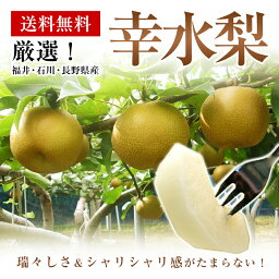 【期間限定ポイント15倍】福井・石川・長野県産【幸水梨】約5K箱サイズ指定なし【送料無料】