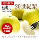 鳥取・福井・石川・長野県産【二十世紀梨・20世紀梨】秀品8〜...