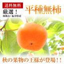 和歌山・福井県産【平種なし柿】大玉8〜9玉化粧箱【送料無料】
