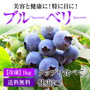 【冷凍】福井県産ブルーベリータップリ!約1Kg