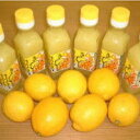 ★紀州特産・レモン果汁【100%果汁】一本120ml×5本