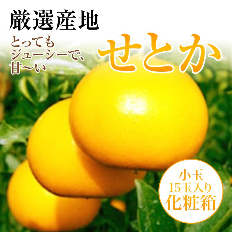 佐賀・愛媛・和歌山等厳選産地【せとか　小玉15玉箱】《送料無料》