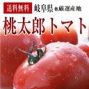 岐阜・福井県産桃太郎トマト約2K箱【送料無料】