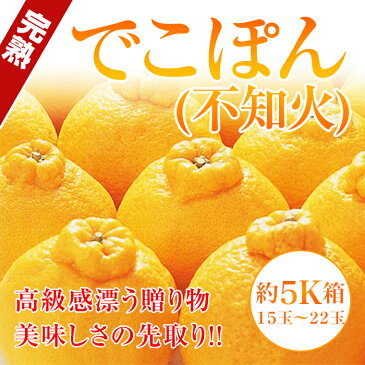 旬の産地から⇒完熟でこぽん約5K化粧箱15玉〜22玉【送料無料】
