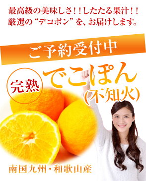 旬の産地から⇒完熟でこぽん約5K化粧箱15玉〜22玉【送料無料】