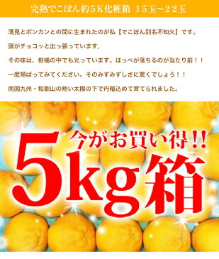 旬の産地から⇒完熟でこぽん約5K化粧箱15玉〜22玉【送料無料】