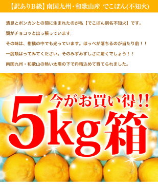 【数量限定100ケ−ス】《訳ありB級》でこぽん(不知火)【しらぬい】約5K箱【送料無料】