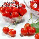 長野県・山形県産【ハウスさくらんぼ】約100g×3パック入り...