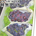 種無しピオ-ネ 大3房化粧箱お中元・お盆・敬老の日にも最適!【送料無料-クール便】6月下旬ごろ入荷予定贈り物・景品等