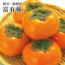 岐阜・福岡【富有柿】フユガキ厳選大玉秀8〜9玉化粧箱送料無料...