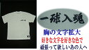 ZETT 送料無料ベースボールTシャツジュニア用片胸刺しゅう無料