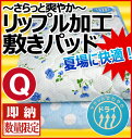 【最安値に挑戦中!】【あす楽対応】BASIC爽快!