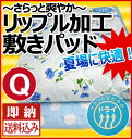 【送料込!】【あす楽対応】BASIC爽快!リップル加工敷パッド/クイーン/2014年度柄/4隅ゴム付き/敷きパッド/ベッド・敷き布団用?EasyCare?丸洗いできる!清潔!快適!爽快!安心!【HLS_DU】【05P08Feb15】