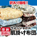 【最安値に挑戦!】【訳あり】ウォッシャブル合繊肌掛
