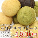 ノンシュガー豆乳プチマドレーヌ【24袋セット・箱入