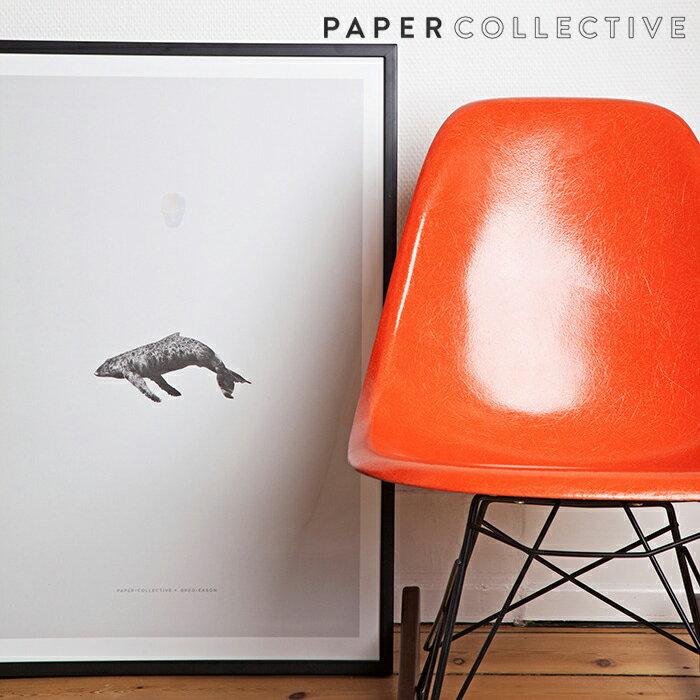 ●●PAPER COLLECTIVE/ペーパーコレクティブ　ポスター:WHALE REPRISE/クジラ 50x70cm【コンビニ受取対応商品】【RCP】