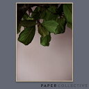 ●●【9月22 19:00〜9/25 6:59までポイント10倍】●【PAPER COLLECTIVE】GREEN LEAVES/グリーンリーブス 07120 50x70cmペーパーコレクティブ/Norm Architects/ノームアーキテクツ/ポスター/葉/北欧/インテリア【コンビニ受取対応商品】【RCP】