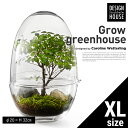 【Design House Stockholm デザインハウスストックホルム】Grow GREENHOUSE clear XLグロウ グリーンハウス クリア ガラス L 鉢 植木鉢 北欧 Vase 花瓶【コンビニ受取対応商品】【RCP】