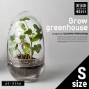 【Design House Stockholm デザインハウスストックホルム】Grow GREENHOUSE clear グロウ グリーンハウス クリア ガラス 鉢 植木鉢 北欧 Vase 花瓶【コンビニ受取対応商品】【RCP】