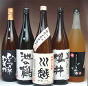 さよなら2011年究極セット1800ml×5本川越・桜井黒麹・池の鶴・ひとつき半むろか・八海山の原酒で仕込んだ梅酒