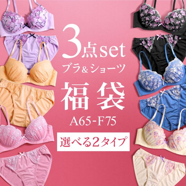 21％OFF【送料無料】 ブラジャー <strong>ショーツ</strong> 3点セット <strong>福袋</strong> 選べる3タイプ おまかせ 刺繍レース おしゃれ シンプル ABCDEF下着 レディース インナー ブラ ブラセット ブラ<strong>ショーツ</strong> 上下セット セットアップ 安い プチプラ かわいい おしゃれ まとめ買い 全3色 A65-F75