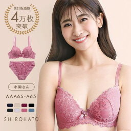 フェミニンレース ブラジャー ショーツ セット AAA・AA・A 小さいサイズ プチ胸サイズ 総レース [ かわいい プチバスト シンデレラバスト 小胸 盛り 下着 レディース ブラ＆ショーツ ブラ ブラセット ブラショーツ 上下セット ] 全8色 <strong>AAA65</strong>-M-A65-M