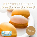 お中元 資生堂パーラー ケーク・ケーク・ケーク 3個入 【ギフト プレゼント 東京・銀座 スイーツ フルーツ ケーキ メッセージ お祝い】