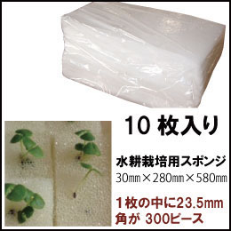 水耕栽培 スポンジ　キューブタイプ×10枚【送料全国一律650円.沖縄、離島除く】...:shizen-midori:10000334