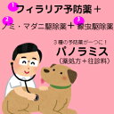 【パノラミスL】(体重9.0〜18Kg)8回分セットフィラリア症予防薬に、ノミ・マダニ駆除薬と腸内寄生虫駆除薬をプラス、3つの効果が1つになった【パノラミス】新発売!往診診療は栃木県・群馬県・東京都・埼玉県・神奈川県にお住まいの方限定!【10P03Sep16】