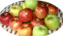 【品種いろいろ】長野で一番といわれる夜間瀬のりんご低農薬有機肥料による　りんご　3kg（約9〜10個）　【発送9／1〜3／15】