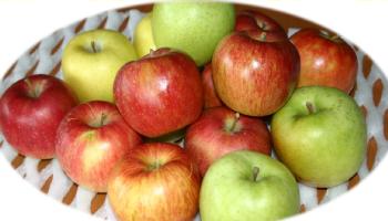 【品種いろいろ】長野で一番といわれる夜間瀬のりんご低農薬有機肥料による　りんご　10kg（約32〜36個）　【発送9／1〜3／15】
