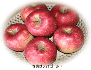 樹と土と話のできる人がいる。忘れられない味に出会う。 福島光福村の低農薬有機質肥料栽培くだものりんご　3kg（約11個） 【発送　8月下旬　〜10月下旬　】