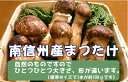【2018年完売】【送料無料】国産(南信州産)まつたけ(ひら...