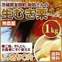 【送料無料】 栗ご飯、甘露煮、きんとんにすぐ使えるナイフで一つ一つ剥きます茨城友部の農薬不使用の生むき栗1kg（約100個前後）【発送9／18〜12／中】 02P23Sep11